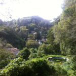 IMG_6178-w640_h478